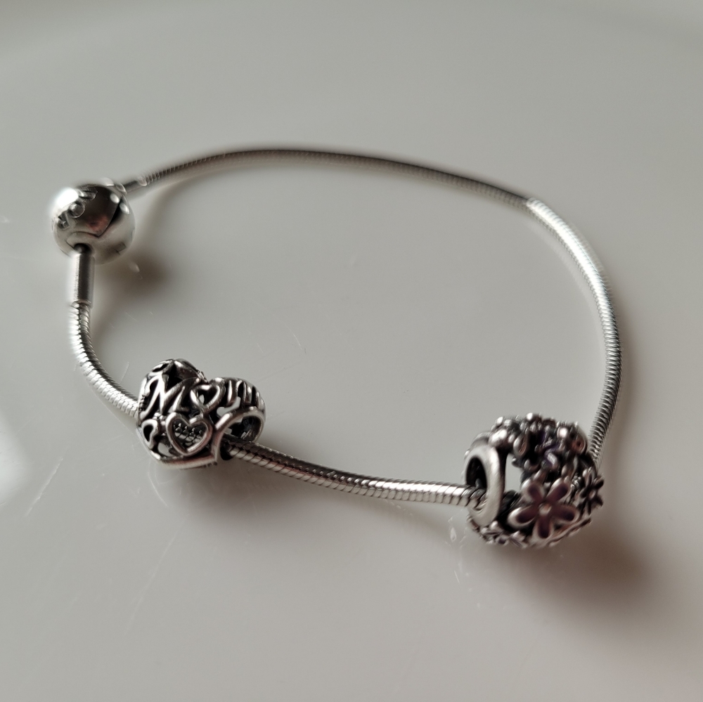 Pandora Moments Snake Chain Bracelet with 2 Charms